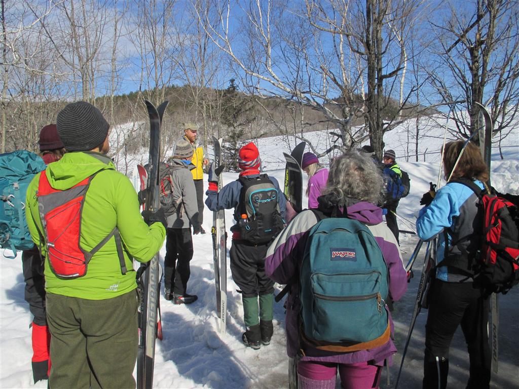 Photo by Marie Bartlett